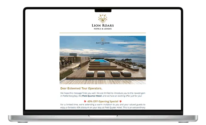 A bulk email example from Lion Roars Hotels and Lodges, about a flash sale with 40% off. 